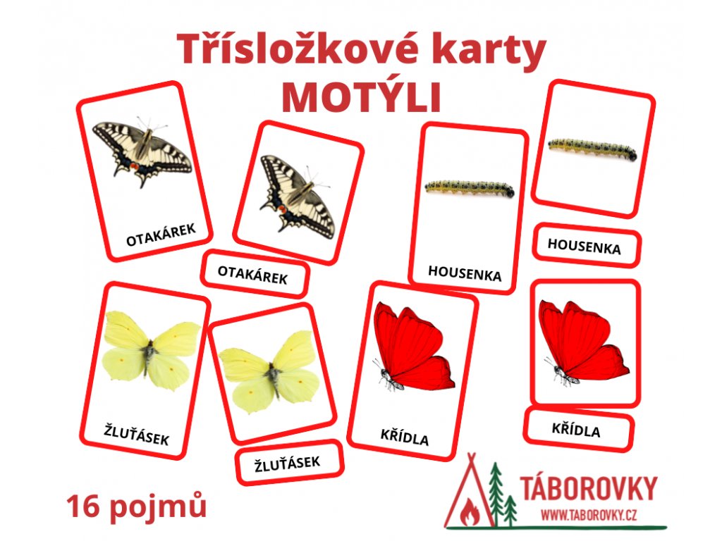 Třísložkové karty motýli - části motýlů i druhy motýlů